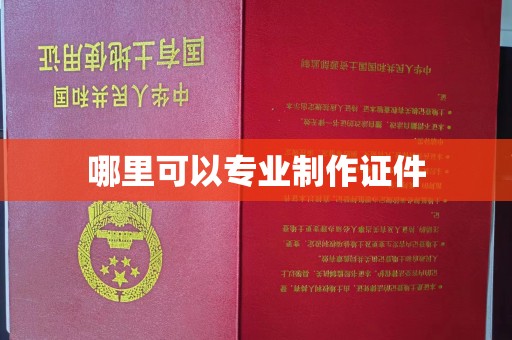 乐山哪里可以专业制作证件
