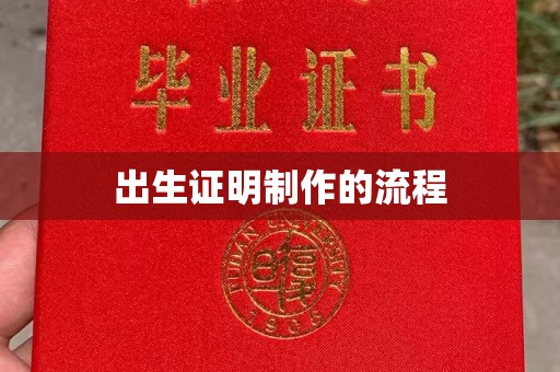 乐山出生证明制作的流程