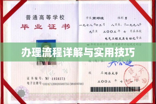 乐山办理流程详解与实用技巧