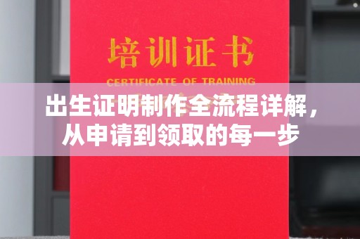 乐山出生证明制作全流程详解，从申请到领取的每一步