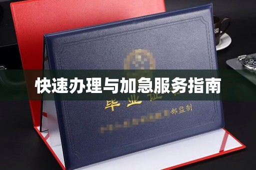 乐山快速办理与加急服务指南