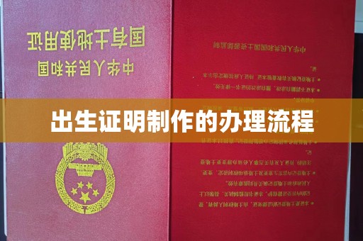 乐山出生证明制作的办理流程