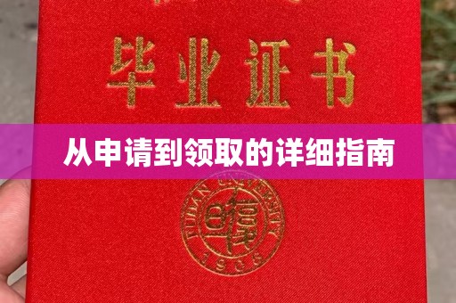 乐山从申请到领取的详细指南