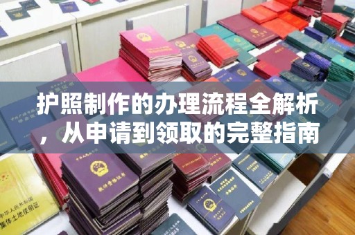 乐山护照制作的办理流程全解析，从申请到领取的完整指南