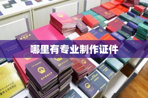 乐山哪里有专业制作证件