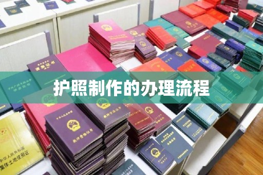乐山护照制作的办理流程
