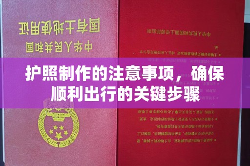 乐山护照制作的注意事项，确保顺利出行的关键步骤