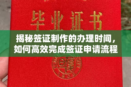 乐山揭秘签证制作的办理时间，如何高效完成签证申请流程