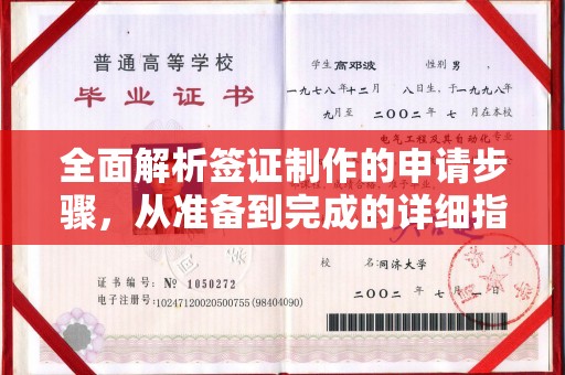 乐山全面解析签证制作的申请步骤，从准备到完成的详细指南