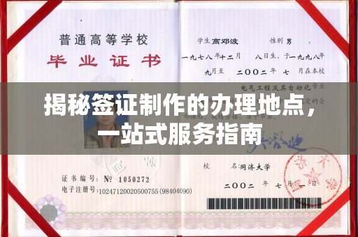 乐山揭秘签证制作的办理地点，一站式服务指南