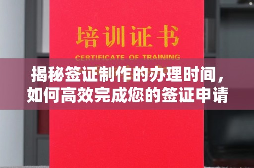 乐山揭秘签证制作的办理时间，如何高效完成您的签证申请