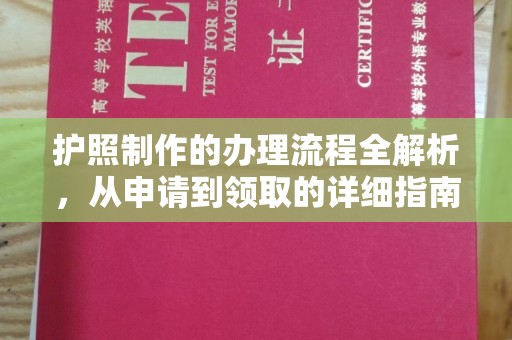 乐山护照制作的办理流程全解析，从申请到领取的详细指南