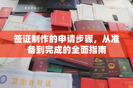 乐山签证制作的申请步骤，从准备到完成的全面指南