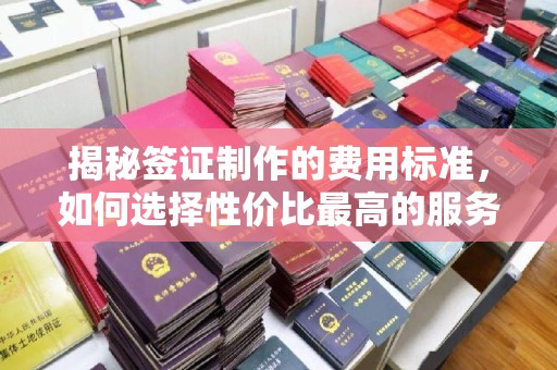 乐山揭秘签证制作的费用标准，如何选择性价比最高的服务？