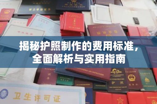 乐山揭秘护照制作的费用标准，全面解析与实用指南