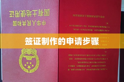 乐山签证制作的申请步骤