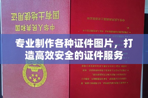 乐山专业制作各种证件图片，打造高效安全的证件服务