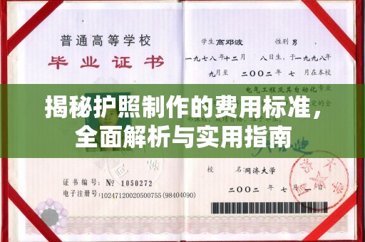 乐山揭秘护照制作的费用标准，全面解析与实用指南