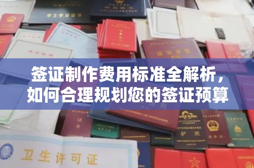 乐山签证制作费用标准全解析，如何合理规划您的签证预算？
