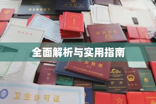 乐山全面解析与实用指南