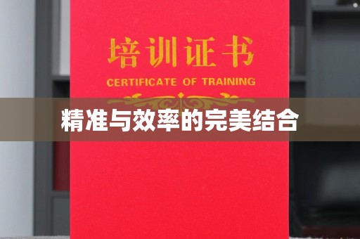 乐山精准与效率的完美结合